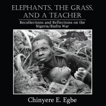 Cover of Dr. Egbe book "Elephants, The Grass, and a Teacher"