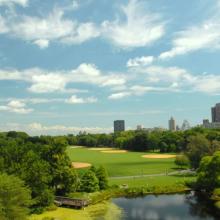 Photo of Great Lawn in Central Park taken by the Central Park Conservancy